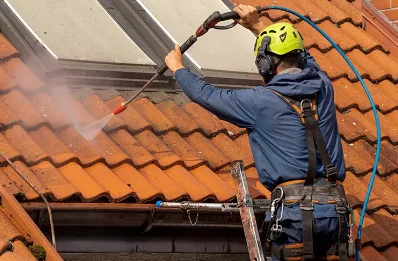 Démoussage et hydrofuge de toiture au Moutaret
